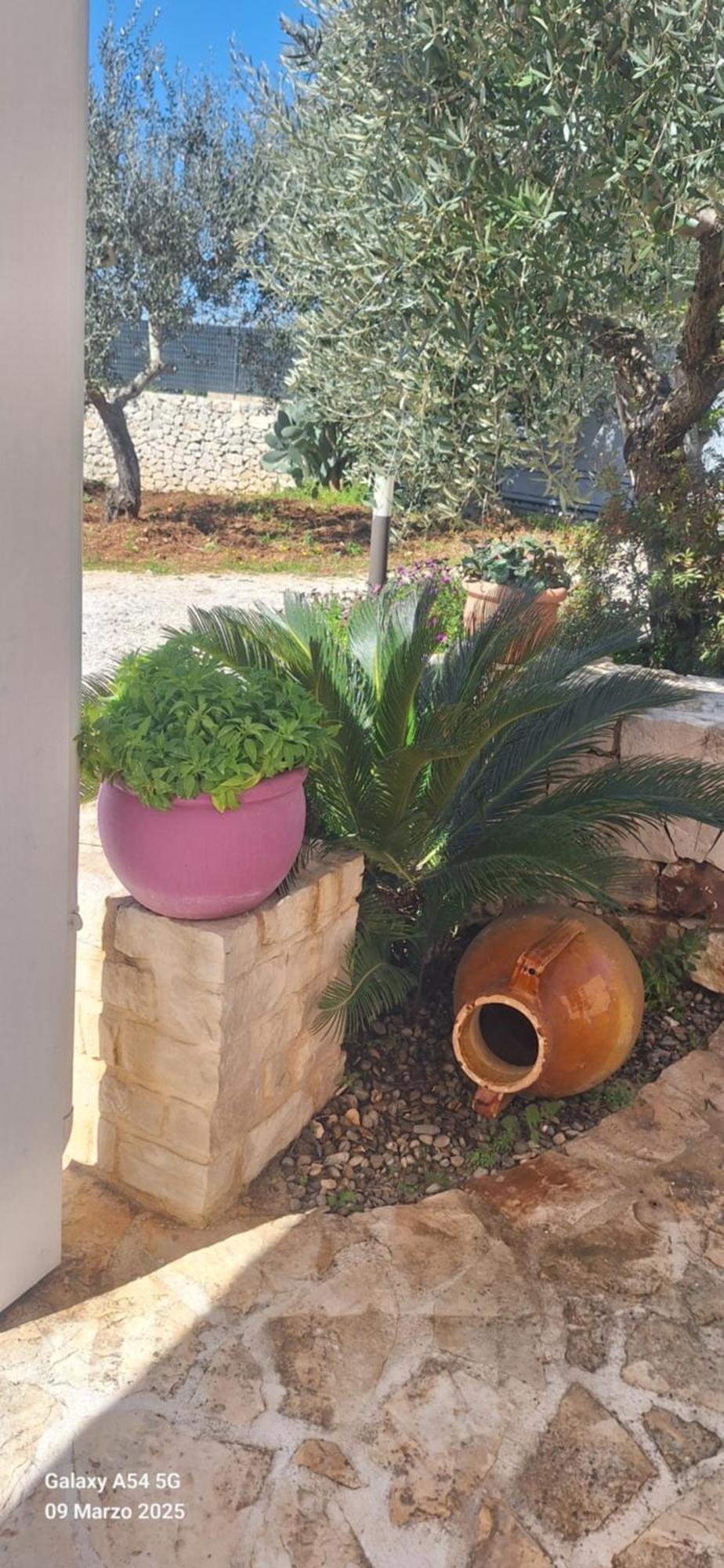 Apartament Baciati Dal Sole Martina Franca Zewnętrze zdjęcie